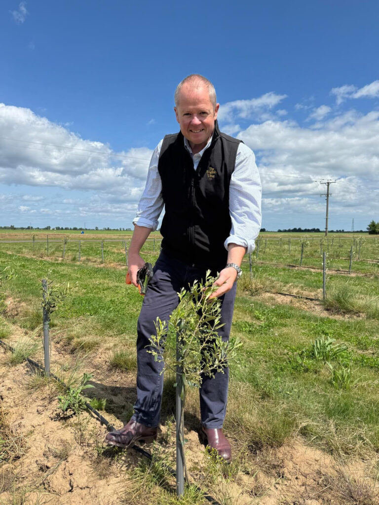 Olive farmer, David Hoyles, stands at The English Olive Company with his planted olive trees.