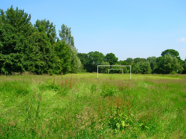 An overgrown football pitch
