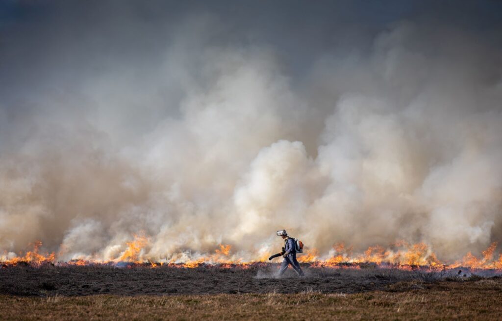 A man walks in front of of a peatland on fire
