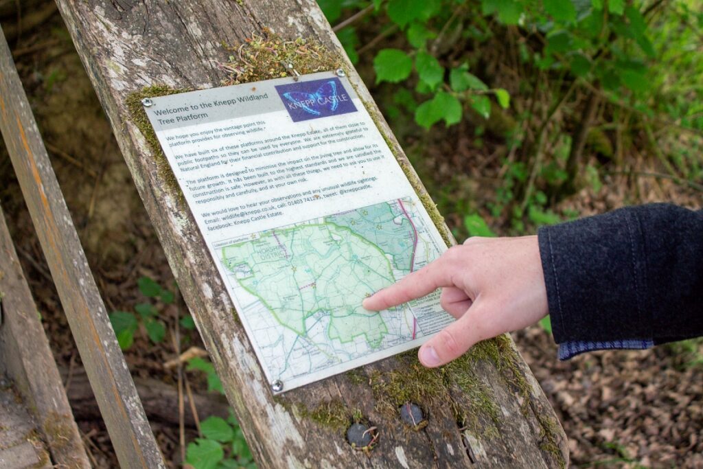 Ned Win's hand points to a location on a map of the Knepp Estate