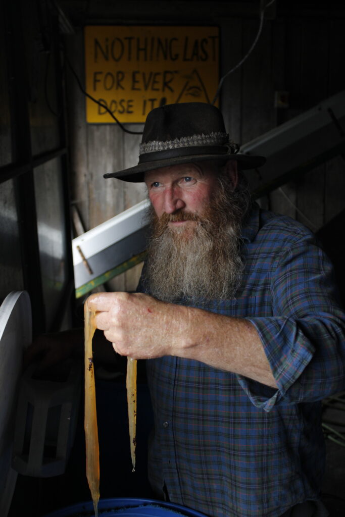 A bearded man in a blue plaid shirt and wide brimmed hat holds up a gelatinous mass used in cider fermentation, inside a wooden workshop