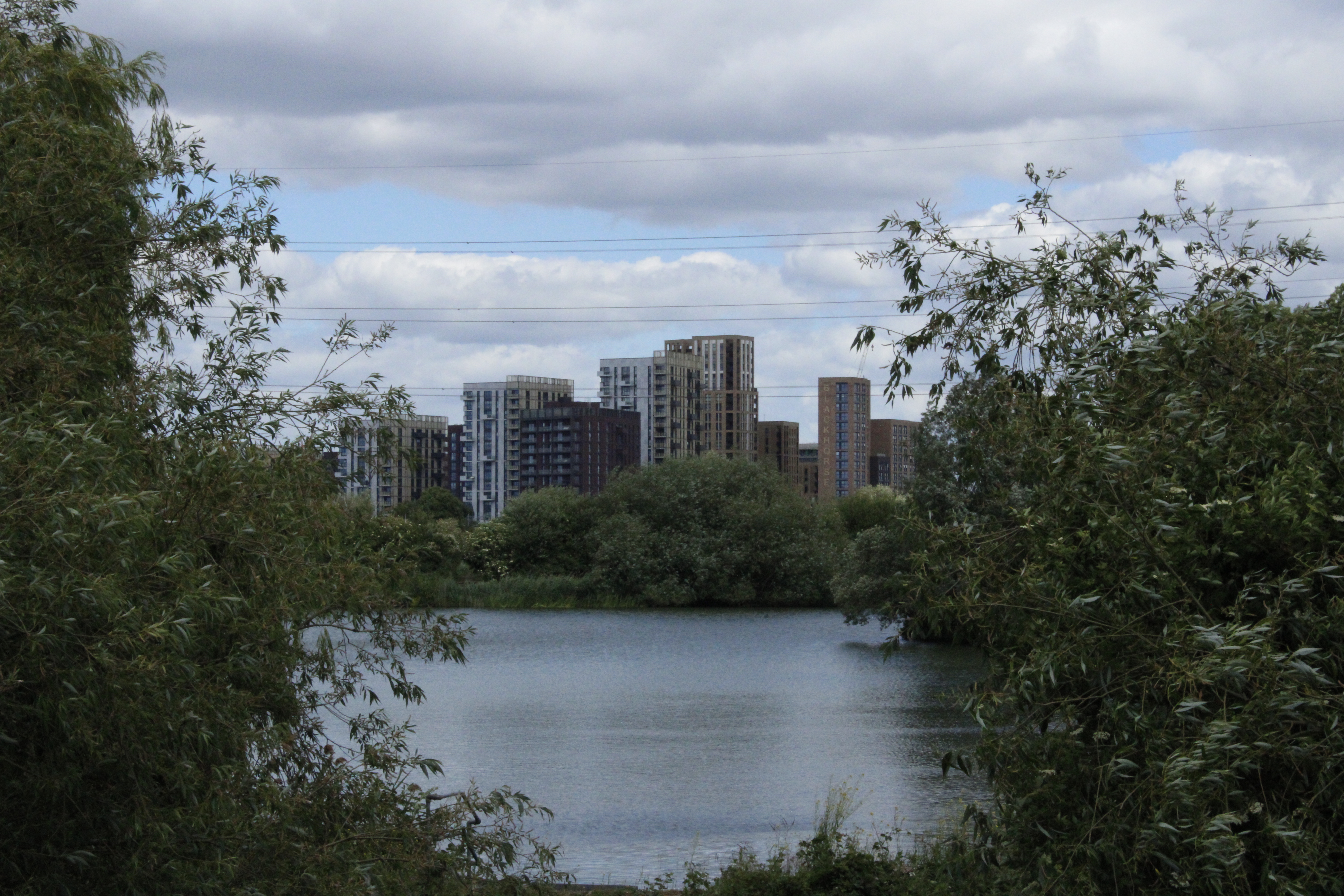 A view of flats, seen across a body of water flanked by trees