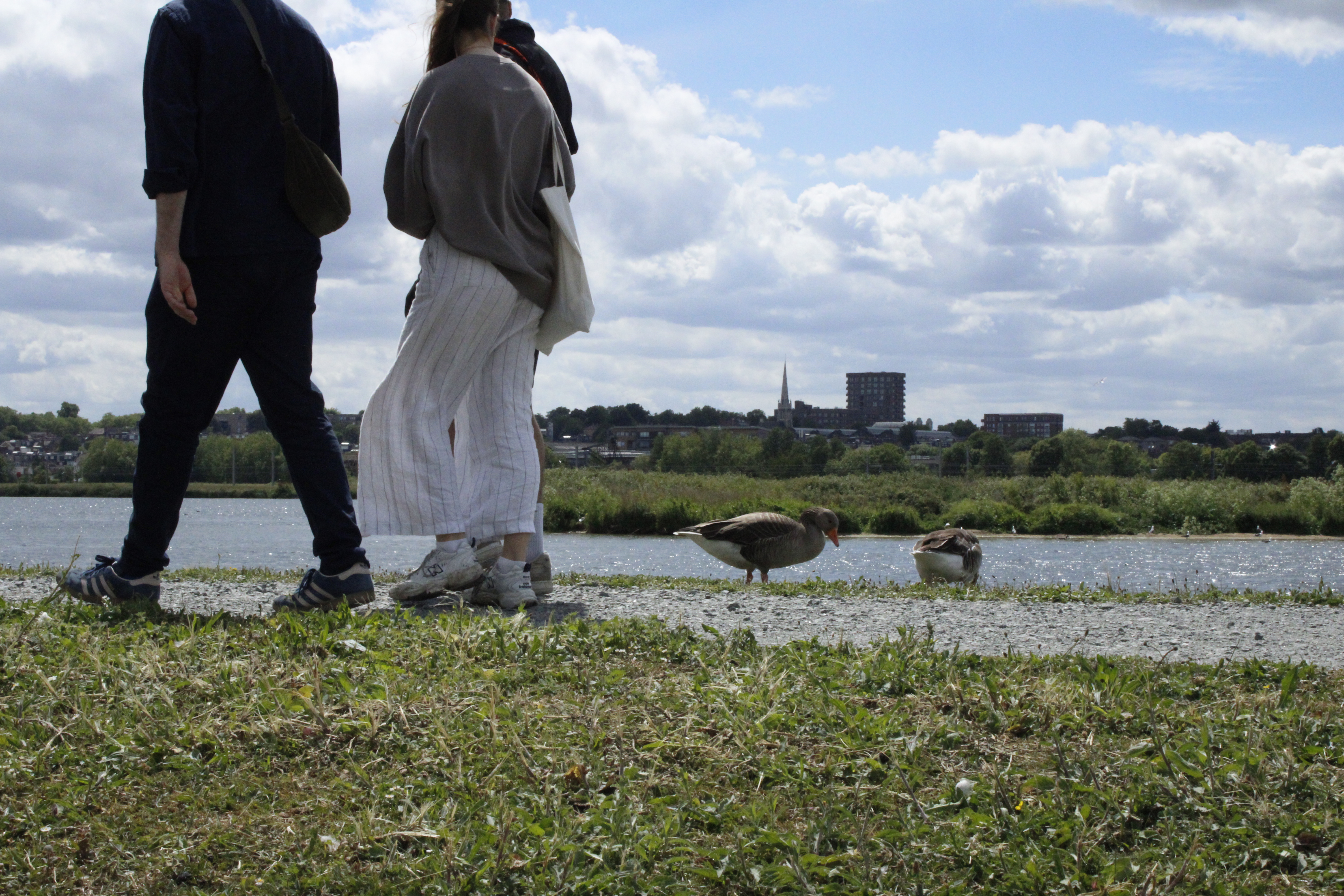 Ducks peck at the grass in the foreground as three people walk past on a path. In the background there is a river, with buildings on the other side