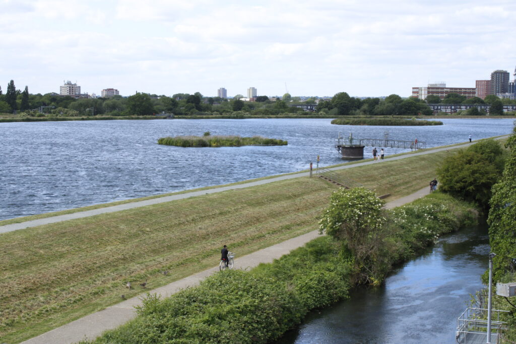 A wide shot of a wetland area, with grass and bushes in the foreground, a body of water in the mid and buildings in the background