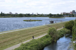 A wide shot of a wetland area, with grass and bushes in the foreground, a body of water in the mid and buildings in the background