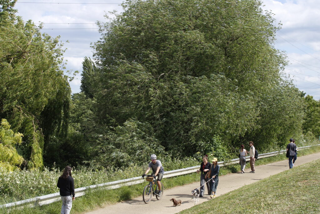 cyclists, pedestrians and dog-walkers on a narrow footpath. with trees and greenery behind