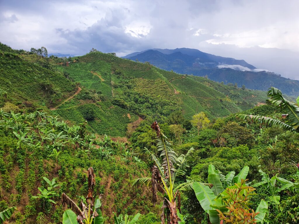 View of tree covered mountains on the Camino de Costa Rica trail