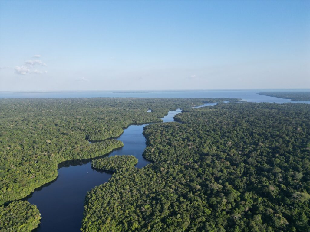 A drone view of the Caxiuanã National Forest, with a river in the middle.