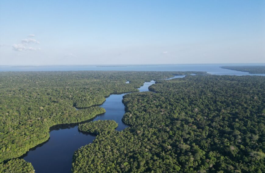 A drone view of the Caxiuanã National Forest, with a river in the middle.