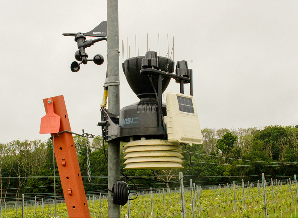 Weather station in a vineyard