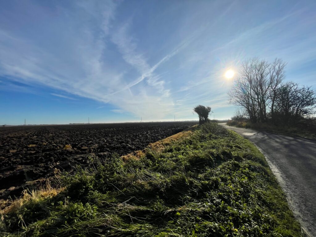 The marsh pinpointed to host SSE's Shepway Energy Park | Image: Amanda Farrant