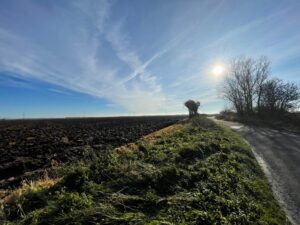 The marsh pinpointed to host SSE's Shepway Energy Park | Image: Amanda Farrant