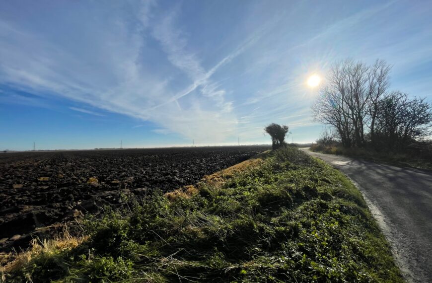 The marsh pinpointed to host SSE's Shepway Energy Park | Image: Amanda Farrant